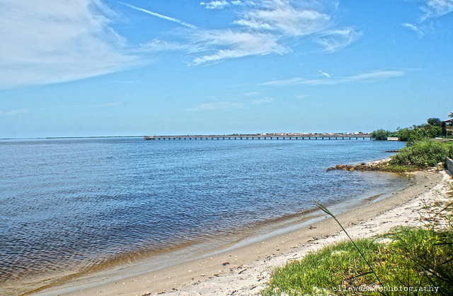 Águas do Charlotte Harbor, na Flórida